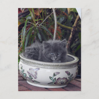 Sherlock Poted Vykort