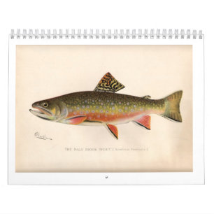 Sherman Denton forellkalender 2014 Kalender