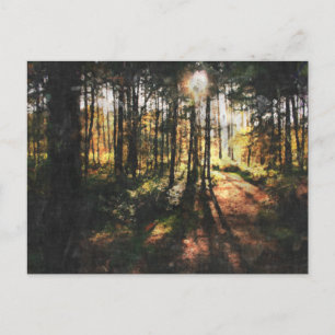 Sherwood Forest Sunset Vykort