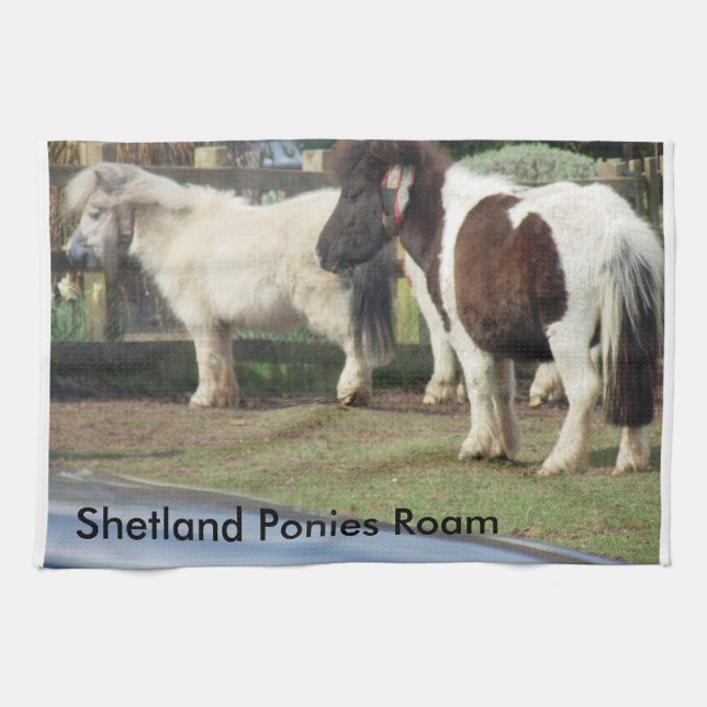 Shetland ponnyer strövar omkring kökshandduk (Horisontell)