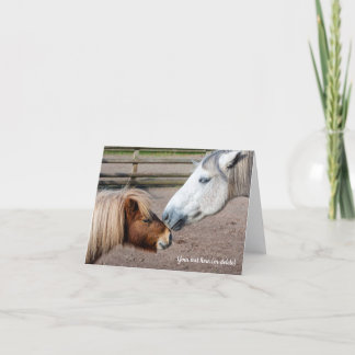 Shetland Pony and Highland Pony Tack Kort