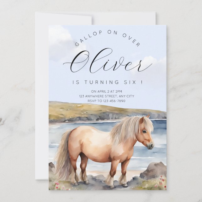 Shetland Pony Birthday Invitation Inbjudningar (Framsida)
