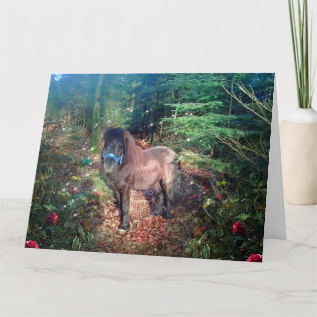 Shetland Pony - gratulationskort Kort (Framsida)