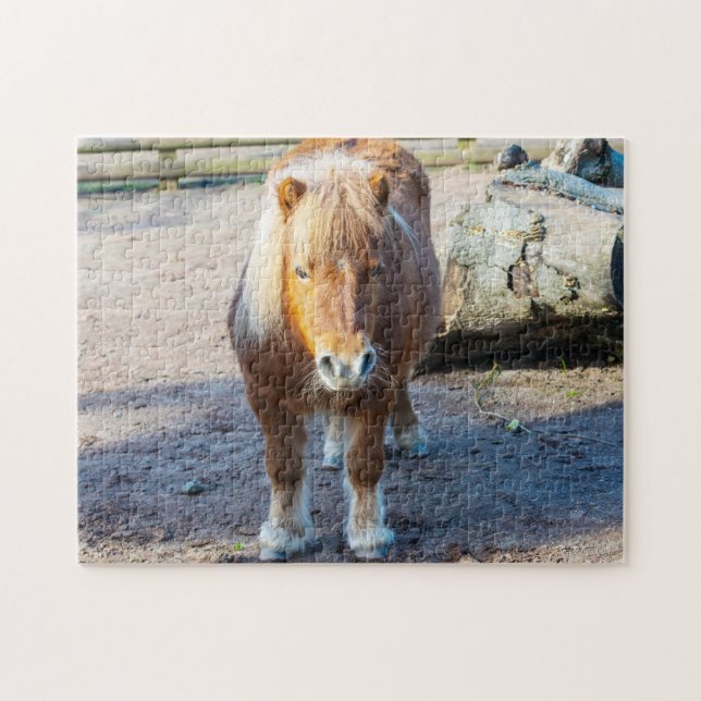 Shetland Pony Jigsaw puzzle Pussel (Horisontell)