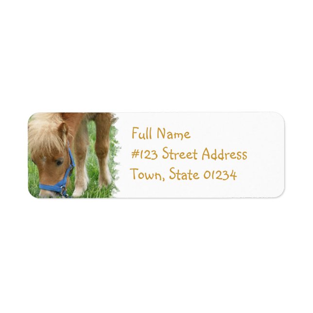 Shetland Pony Mailing Label Returadress Etikett (Framsidan)