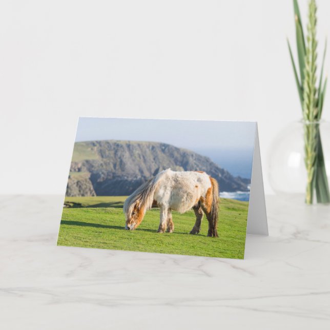 Shetland Pony på betesmark nära höga klippor Kort (Framsida)