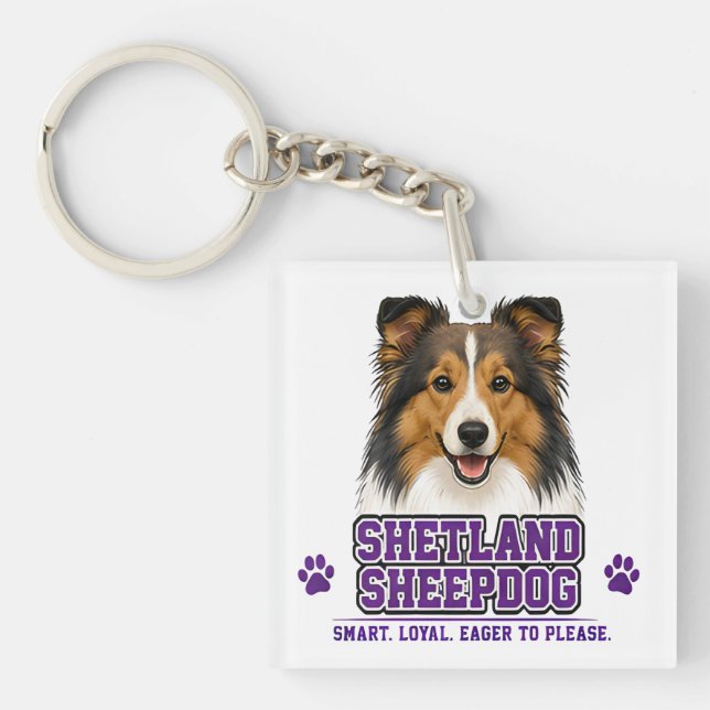 🐾 Shetland Sheepdog 🐾 (Framsidan)