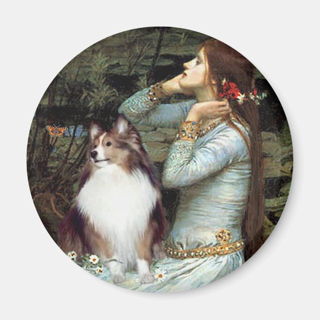 Shetland Sheepdog 18 - Ophelia Seated Magnet (Framsidan)