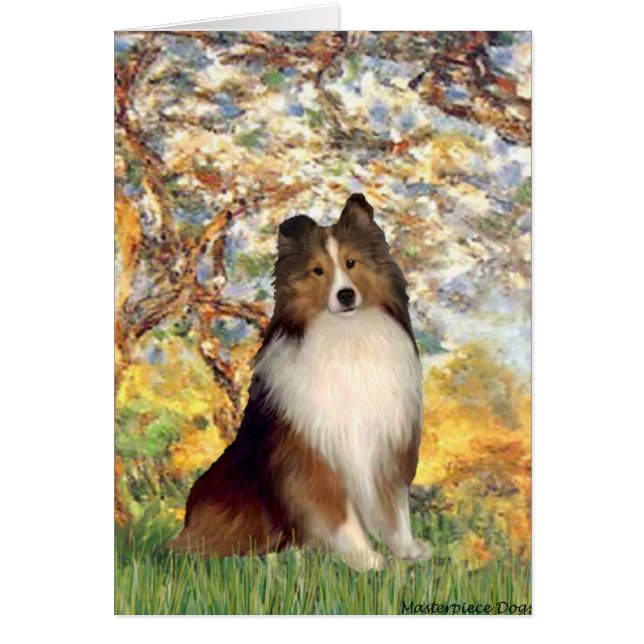 Shetland Sheepdog 1-Vår Hälsningskort (Framsidan)
