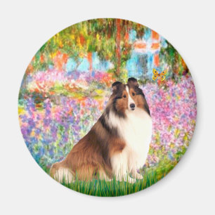 Shetland Sheepdog 7 - Garden Magnet