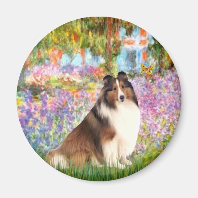 Shetland Sheepdog 7 - Garden Magnet (Framsidan)
