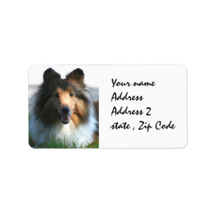 Shetland Sheepdog Adressetikett