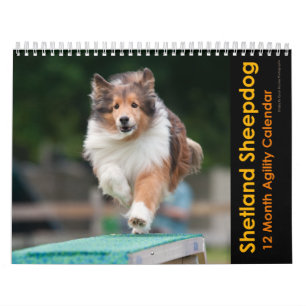 Shetland Sheepdog Agilitet Calendar Kalender