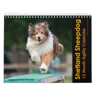 Shetland Sheepdog Agilitet Calendar Kalender