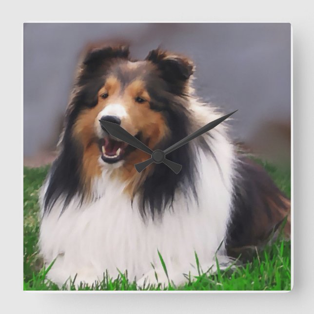 Shetland Sheepdog Art Fyrkantig Klocka (Framsida)