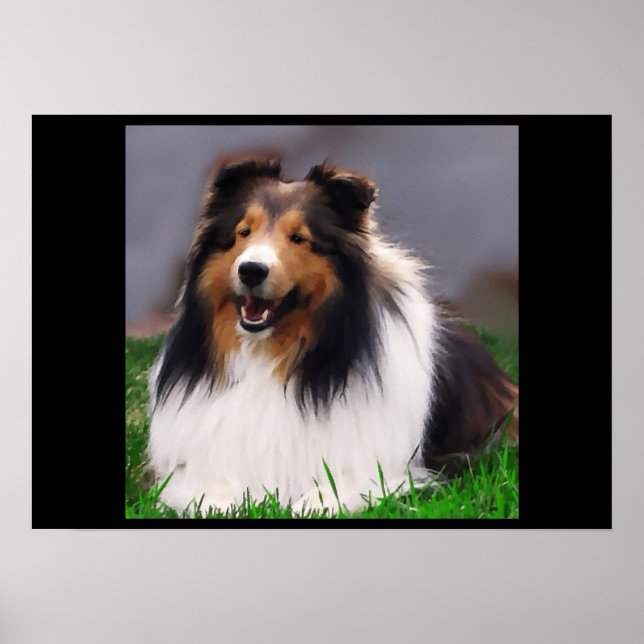 Shetland Sheepdog Art Skriv ut Poster (Framsidan)