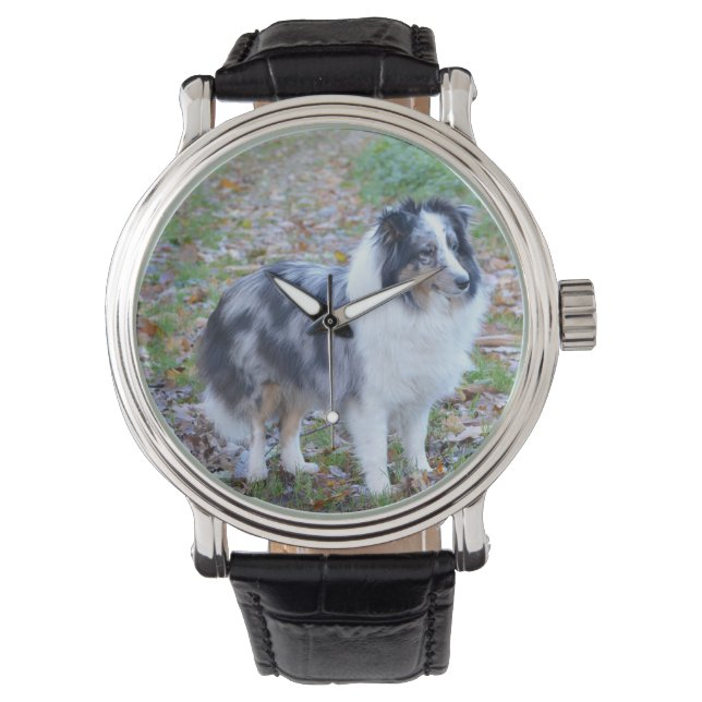 Shetland Sheepdog Blue Merle Armbandsur (Framsida)