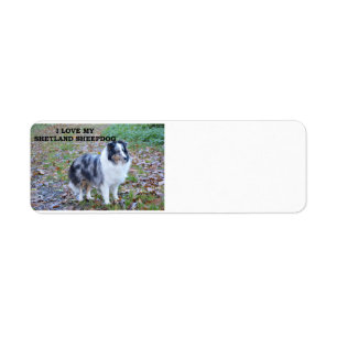 Shetland-Sheepdog-blue merle white tan kärlek w pi Returadress Etikett
