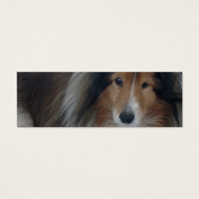 Shetland Sheepdog Bookmark Litet Visitkort (Framsidan)