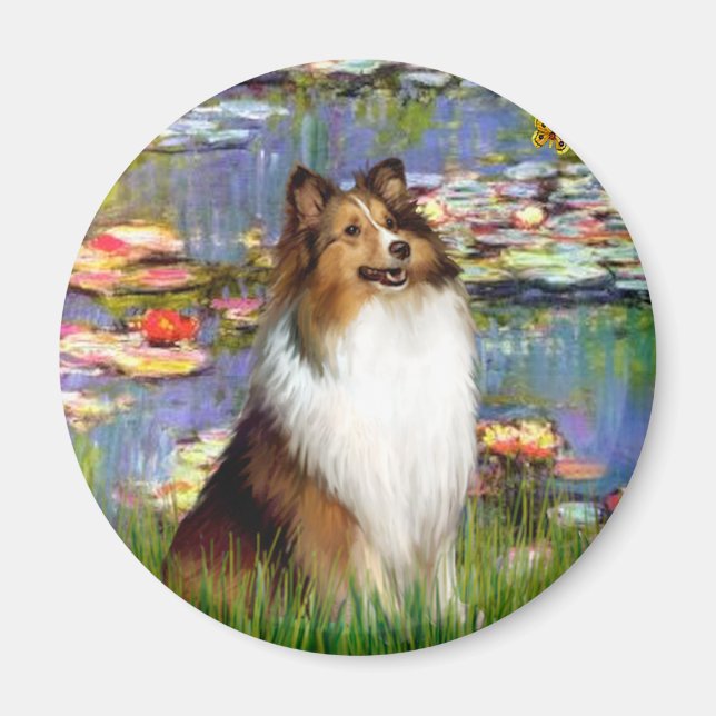 Shetland Sheepdog (Bz) - Lilies 2 Magnet (Framsidan)