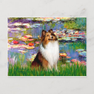 Shetland Sheepdog (Bz) - Lilies 2 Vykort