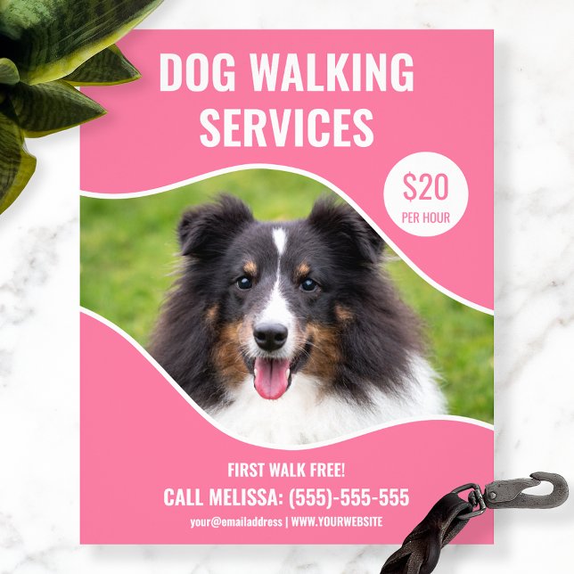 Shetland Sheepdog Foto - Rosa hundpromenadstjänst Flygblad (Skapare uppladdad)