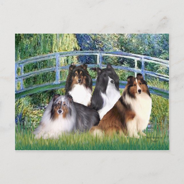 Shetland Sheepdog (fyra) - Bro Vykort (Framsida)