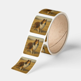 Shetland Sheepdog Fyrkantigt Klistermärke