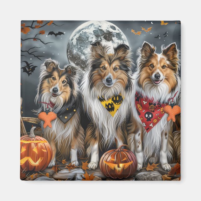 Shetland Sheepdog Halloween Spooky Magnet (Framsidan)
