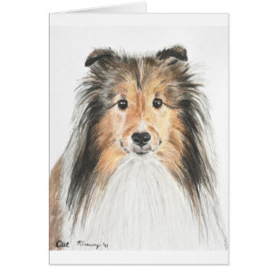 Shetland Sheepdog Hälsningskort