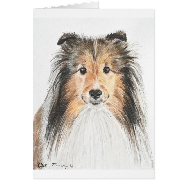 Shetland Sheepdog Hälsningskort (Framsidan)