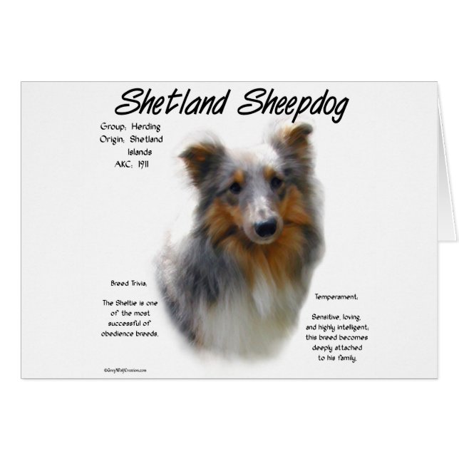 Shetland Sheepdog Historik Hälsningskort (Framsidan Horizontal)