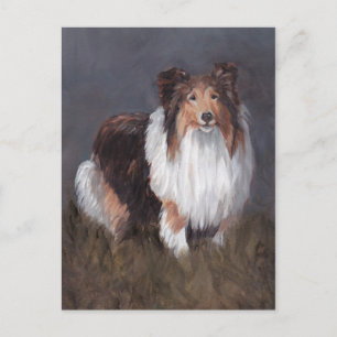 Shetland Sheepdog Hund Art-kort Vykort