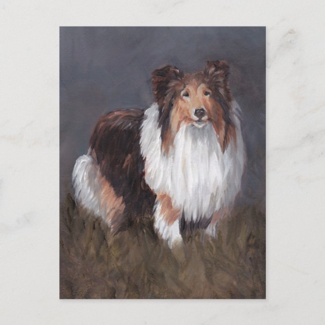 Shetland Sheepdog Hund Art-kort Vykort (Framsida)
