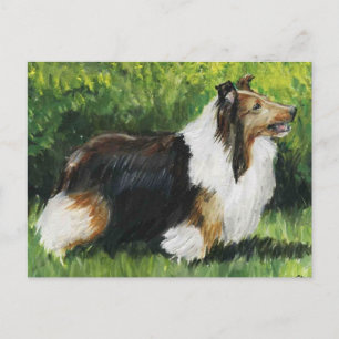 Shetland Sheepdog Hund Art Postcard Vykort