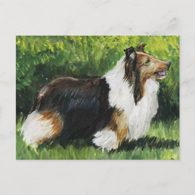Shetland Sheepdog Hund Art Postcard Vykort (Framsida)