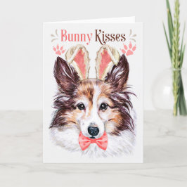 Shetland Sheepdog Hund i Bunny Öron för Påsk Helgkort