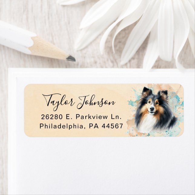 Shetland Sheepdog Hund Returadressetikett Returadress Etikett (Insitu)