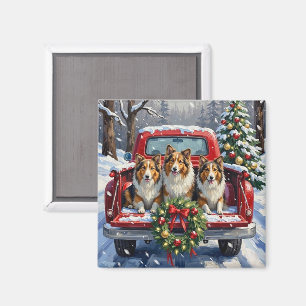 Shetland Sheepdog Jul Röd Lastbil Holiday Magnet