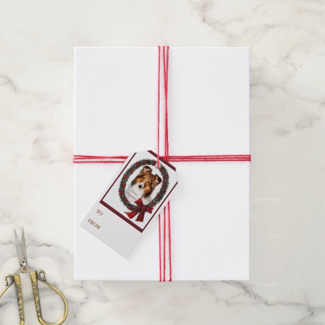 Shetland Sheepdog-julet Presentetikett (Med Snöre)