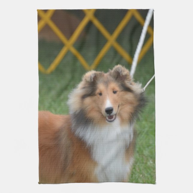 Shetland Sheepdog Kökshandduk (Vertikal)