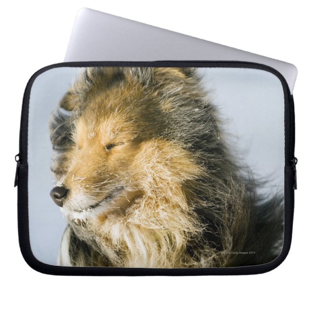 Shetland Sheepdog Laptop Fodral (Framsidan)
