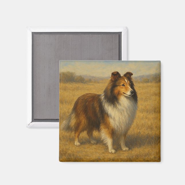 Shetland Sheepdog Magnet (Front/Back)