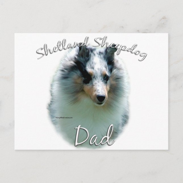 Shetland Sheepdog (merle) Pappa 2 Vykort (Framsida)