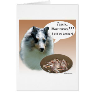 Shetland Sheepdog (merle) Turkiet Hälsningskort