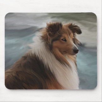 Shetland Sheepdog Musmatta