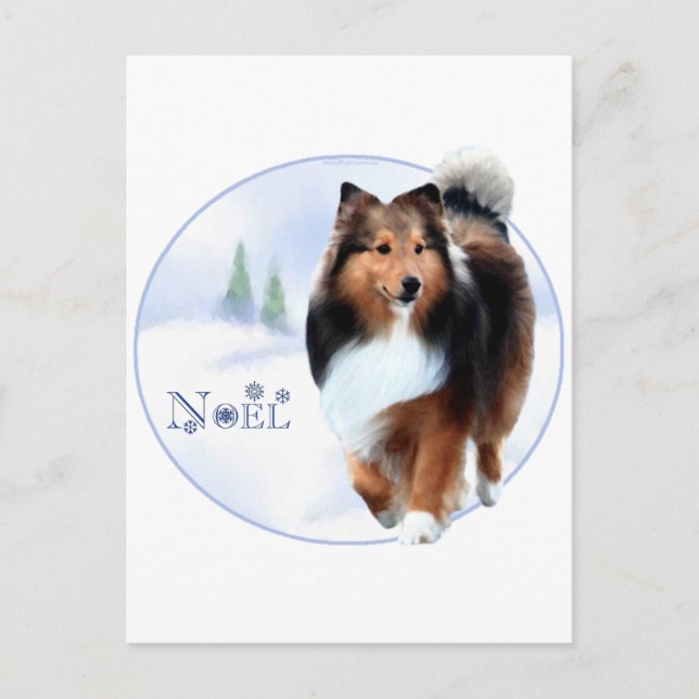 Shetland Sheepdog Noel Helg Vykort (Framsida)