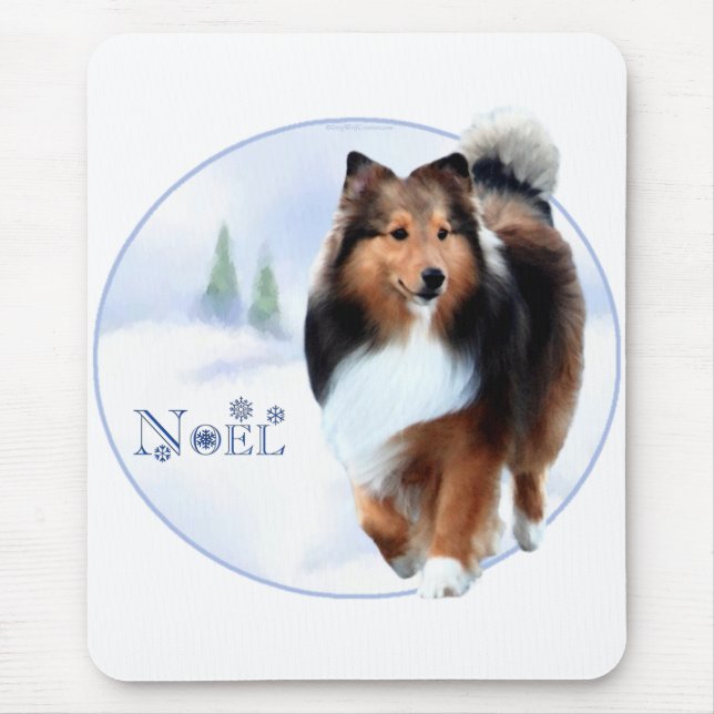 Shetland Sheepdog Noel Musmatta (Framsidan)
