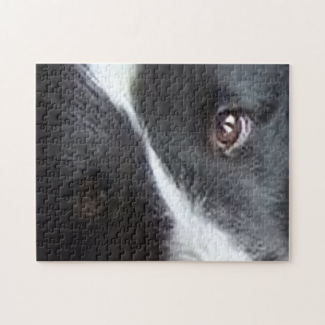 Shetland Sheepdog Ögon Pussel (Horisontell)