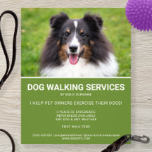 Shetland Sheepdog Photo Grönt Dog Walker Template